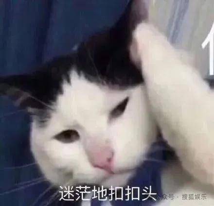 皇冠信用开号_离婚三年又被拍到亲密逛超市皇冠信用开号，他俩这是纯带娃还是真复合了？